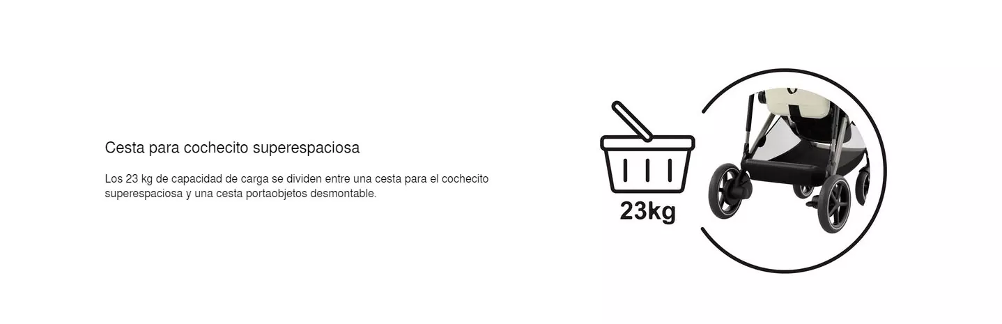 cesta-de-compra.webp