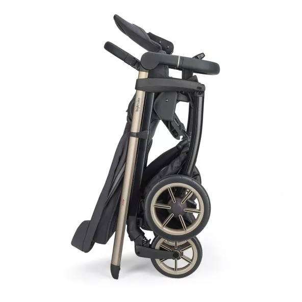 Inglesina Electa Trio Darwin Recline Evo